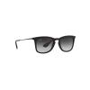 Ray-Ban RB4221 622 8G 50 Unisex Güneş Gözlüğü