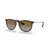 Ray-Ban RB4171 ERIKA 865/13 54 Unisex Güneş Gözlüğü